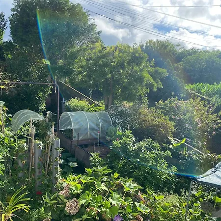 Homestay House - Al *