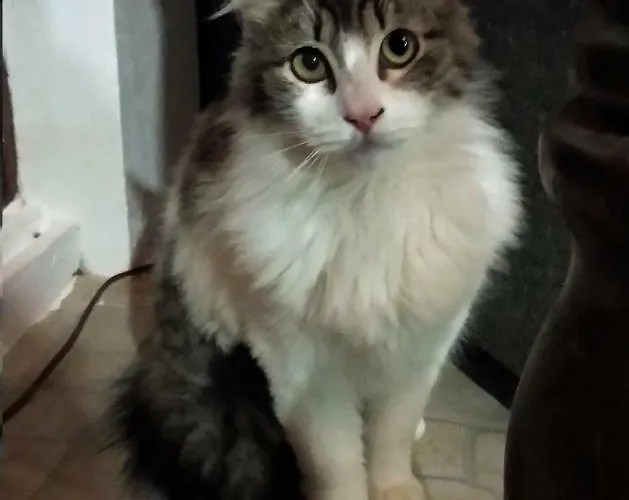 House - Al 民宿 Porto Formoso